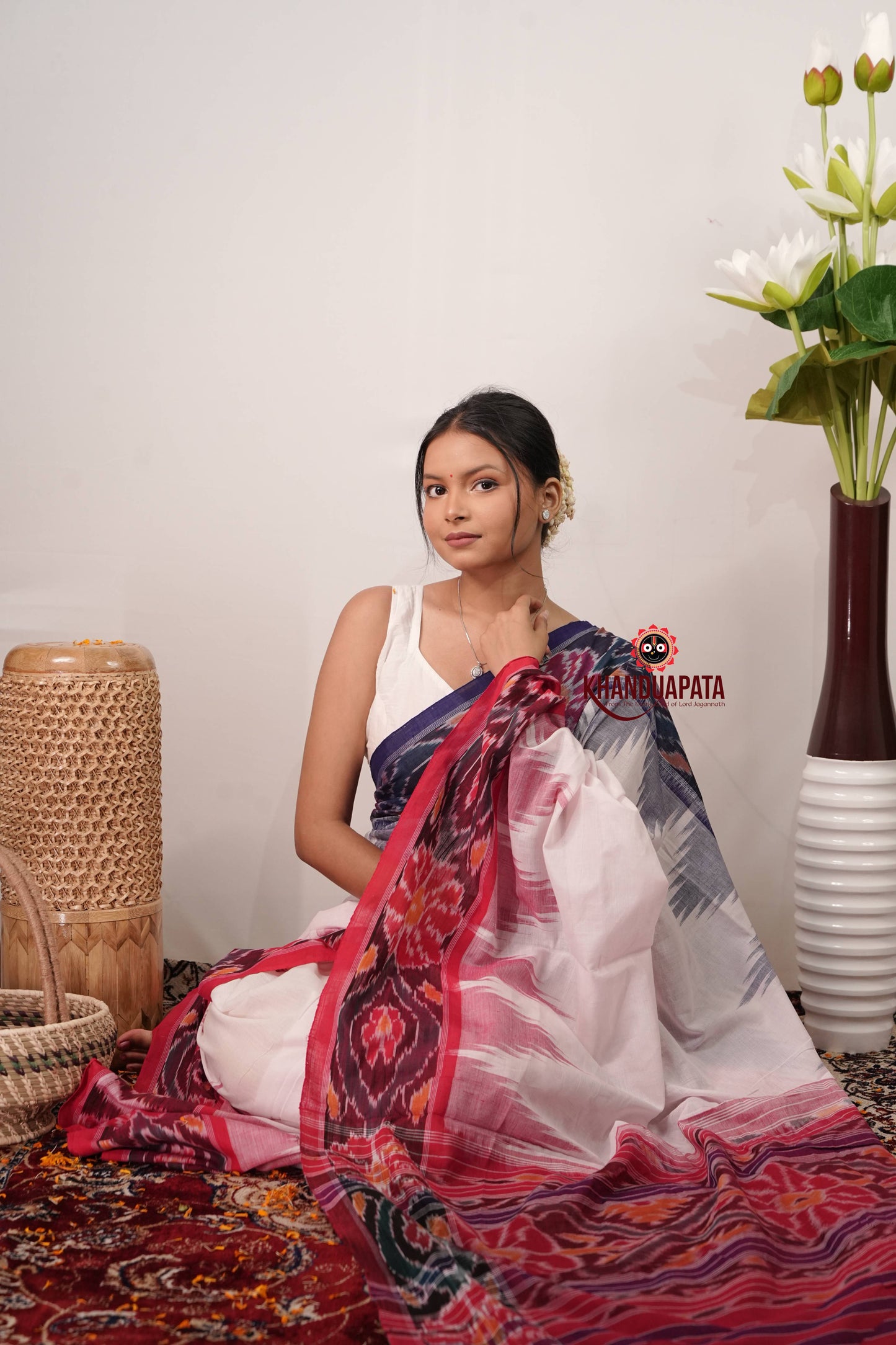 Multi Colour Border Plain Cotton Saree For Women