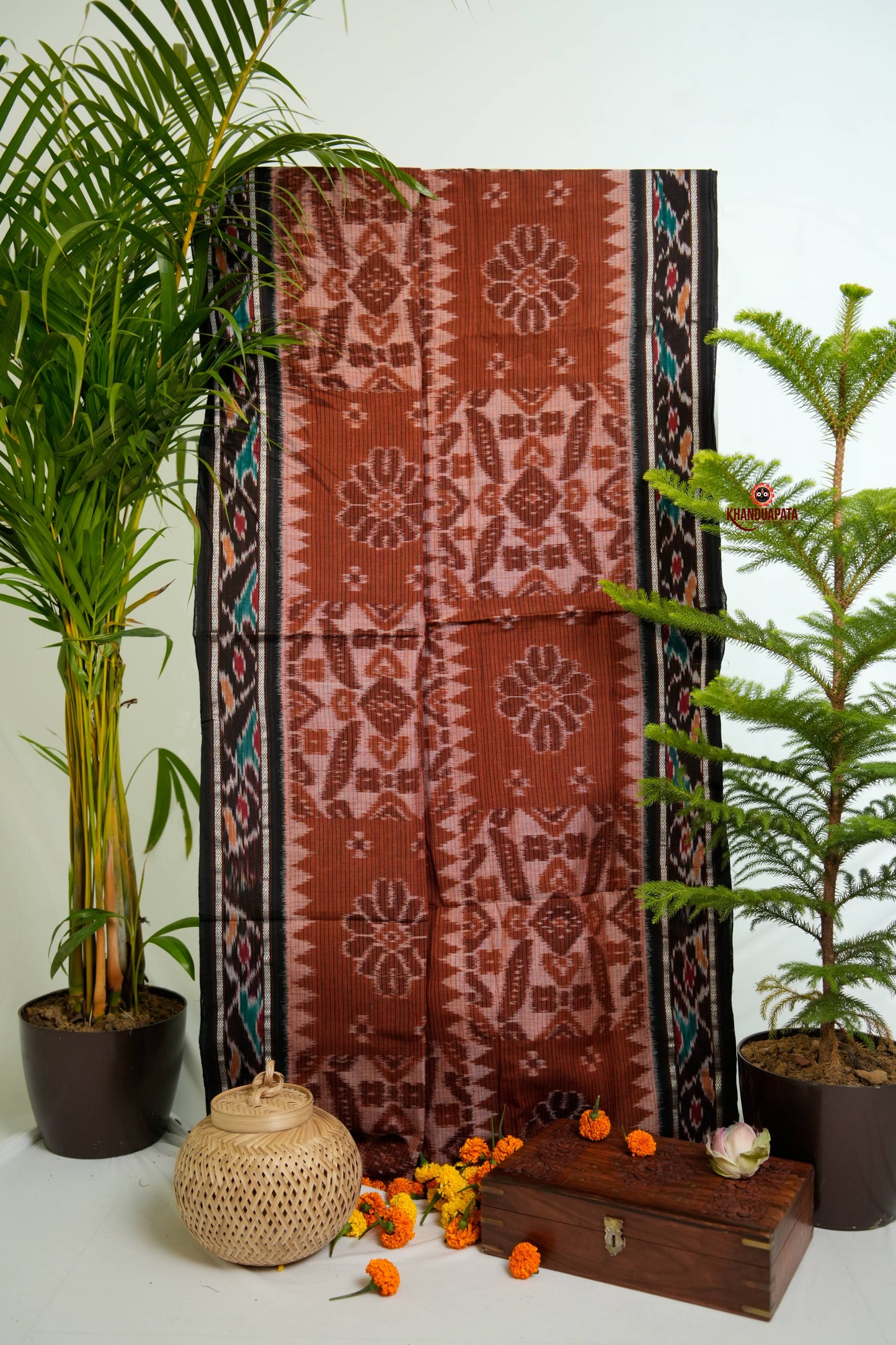 Brown & Black Special Design Cotton Saree For Women