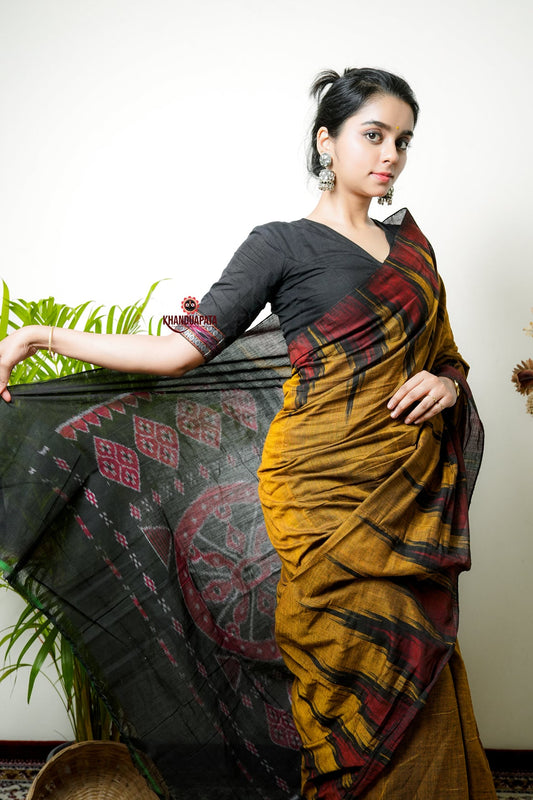 Woman wearing a traditional saree with a patterned design, standing indoors.