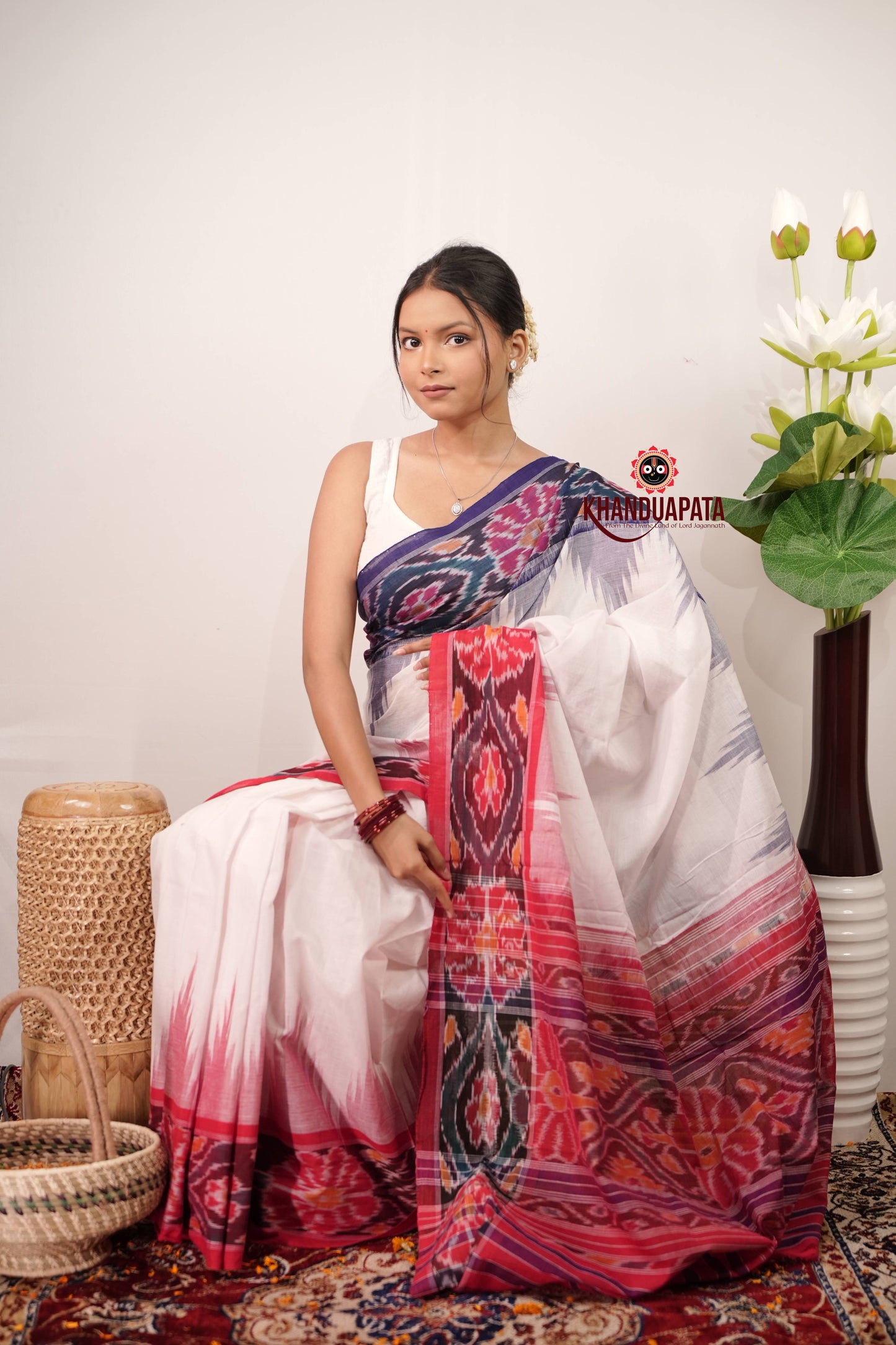 Multi Colour Border Plain Cotton Saree For Women