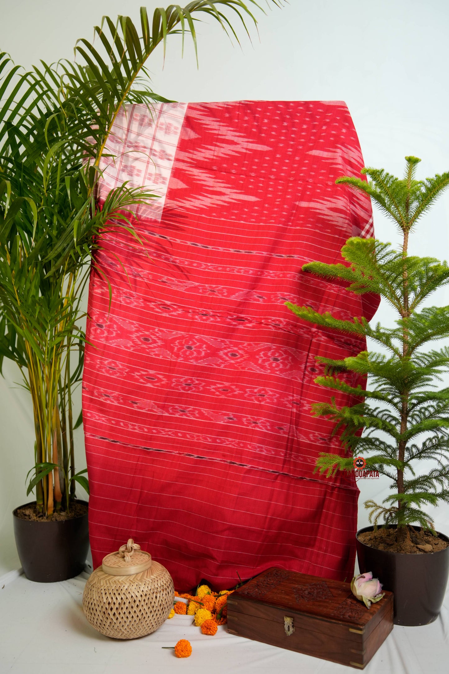 Red & White Colour Pasapali Border Cotton Saree For Women