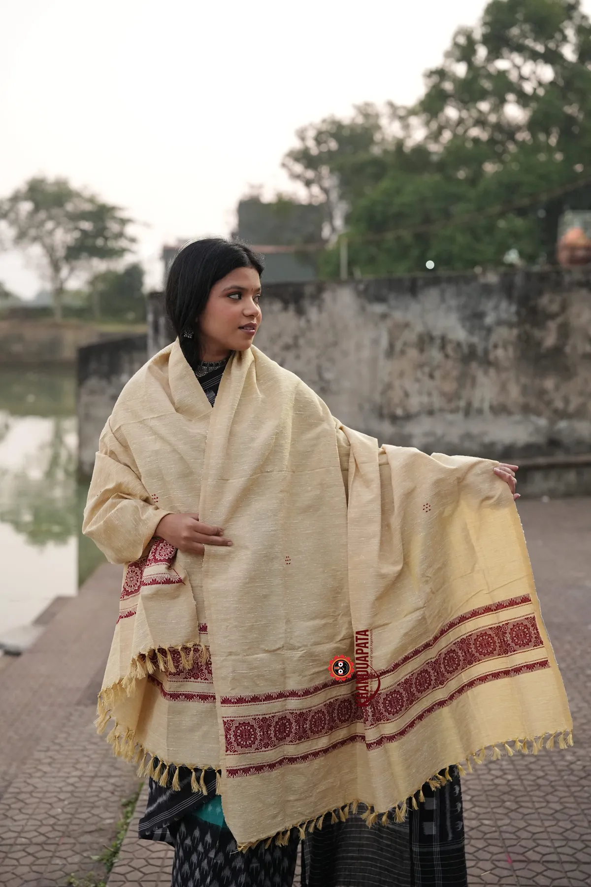 Beige & Deep Red Chakra Design Heritage Shawl For Winter For Women