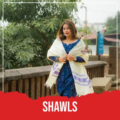 Model wearing Indigo Blue handloom shawl with ethnic patterns